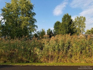 Lake Lot Off Market in Onsted, Michigan