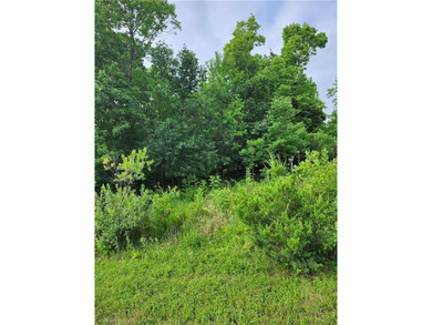 An absolutely beautiful, wooded lot, level and ready for you to - photo 1