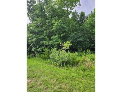 An absolutely beautiful, wooded lot, level and ready for you to - photo 2