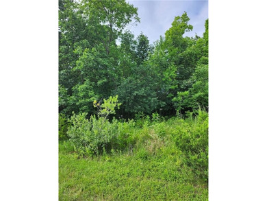 An absolutely beautiful, wooded lot, level and ready for you to - photo 3