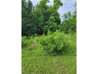 An absolutely beautiful, wooded lot, level and ready for you to - photo 4