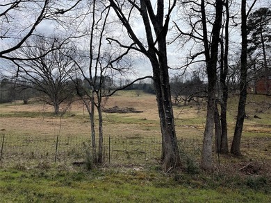 Price Improvement on this stunning 2.85 acres of cleared land - photo 6
