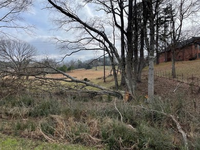 Price Improvement on this stunning 2.85 acres of cleared land - photo 8