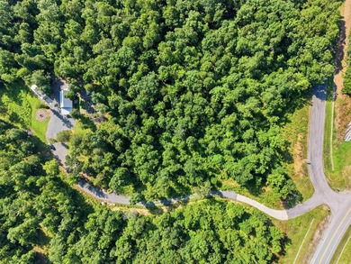 Such an adorable retreat sitting on 12.60 acres +/- with 3 Cozy - photo 10