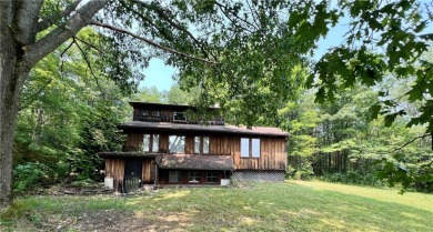 (private lake, pond, creek) Home Sale Pending in Bradford New York
