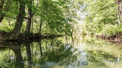 WATER ACCESS OPPORTUNITY IN THE REBEL RIDGE COMMUNITY OF CRAIG - photo 1