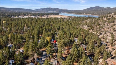 42554 Juniper Dr - photo 12