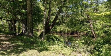 WATER ACCESS OPPORTUNITY IN THE REBEL RIDGE COMMUNITY OF CRAIG - photo 3
