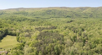WATER ACCESS OPPORTUNITY IN THE REBEL RIDGE COMMUNITY OF CRAIG - photo 4