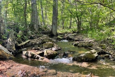 WATER ACCESS OPPORTUNITY IN THE REBEL RIDGE COMMUNITY OF CRAIG - photo 5
