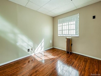 Discover a rare investment opportunity in the heart of Detroit - photo 19