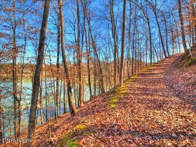 MAIN CHANNEL LOT - 3.4 ACRES!! Build your dream home on Lot 33 - photo 24