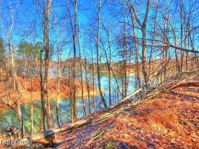 MAIN CHANNEL LOT - 3.4 ACRES!! Build your dream home on Lot 33 - photo 25