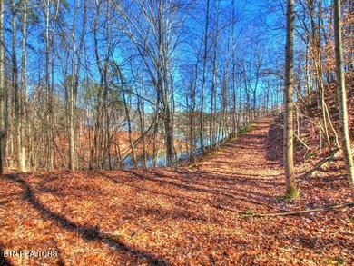 MAIN CHANNEL LOT - 3.4 ACRES!! Build your dream home on Lot 33 - photo 26