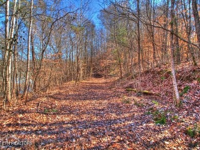 MAIN CHANNEL LOT - 3.4 ACRES!! Build your dream home on Lot 33 - photo 27