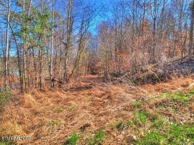 MAIN CHANNEL LOT - 3.4 ACRES!! Build your dream home on Lot 33 - photo 28
