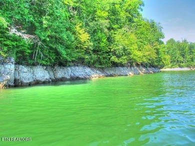 MAIN CHANNEL LOT - 3.4 ACRES!! Build your dream home on Lot 33 - photo 33