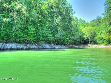 MAIN CHANNEL LOT - 3.4 ACRES!! Build your dream home on Lot 33 - photo 34