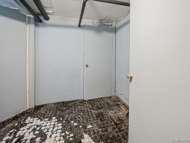 Discover a rare investment opportunity in the heart of Detroit - photo 48