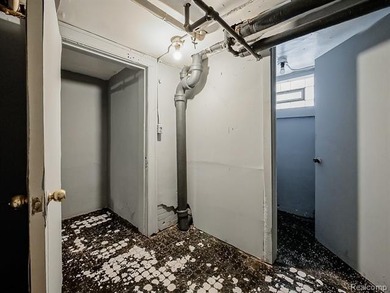 Discover a rare investment opportunity in the heart of Detroit - photo 50