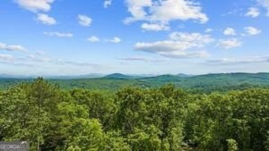 Lake Nottely Home For Sale in Morganton Georgia