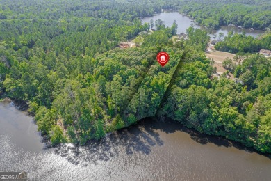 Lake Sinclair Acreage For Sale in Milledgeville Georgia
