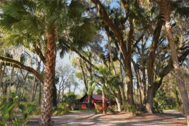 (private lake, pond, creek) Home For Sale in Micanopy Florida