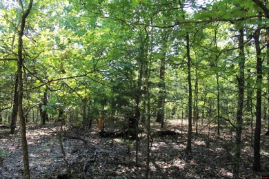  Lot For Sale in Protem Missouri