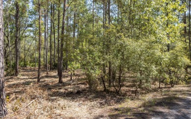 Lake Lot For Sale in White Springs, Florida