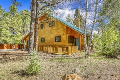 Hatcher Reservoir Home For Sale in Pagosa Springs Colorado