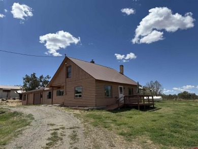 Lake Home For Sale in Crawford, Colorado