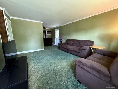 This 3 bedroom, 1 bathroom split level offers a living room - photo 3