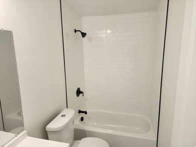 Recently remodeled! New cabinets! New flooring! New bathrooms! - photo 8