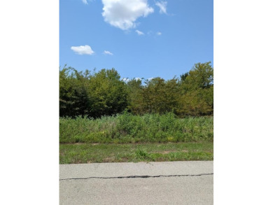 Lake Lot For Sale in Kemp, Texas