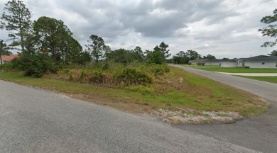 (private lake, pond, creek) Lot Active Under Contract in Sebring Florida