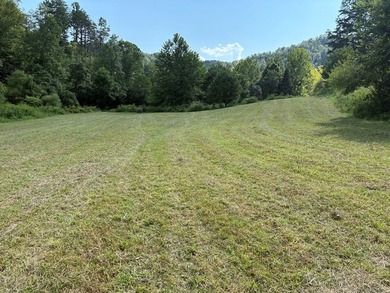 if you are looking for a beautiful, private mini farm to build - photo 2