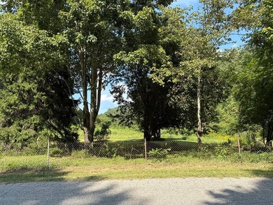 if you are looking for a beautiful, private mini farm to build - photo 3