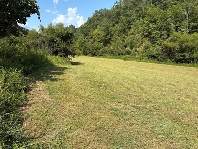 if you are looking for a beautiful, private mini farm to build - photo 4