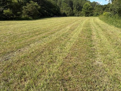 if you are looking for a beautiful, private mini farm to build - photo 6