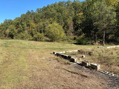 if you are looking for a beautiful, private mini farm to build - photo 8