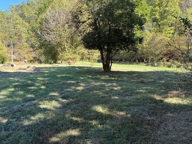 if you are looking for a beautiful, private mini farm to build - photo 9