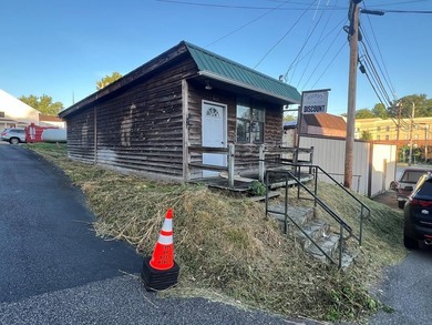 Lake Blue Ridge Commercial For Sale in Blue Ridge Georgia