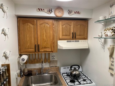 Canarsie All Brick 2 Family, 2/2, Finished Basement. Attached - photo 7