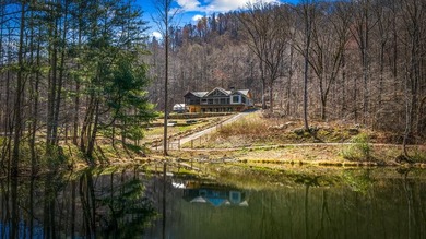 (private lake, pond, coastal) Home For Sale in Blue Ridge Georgia