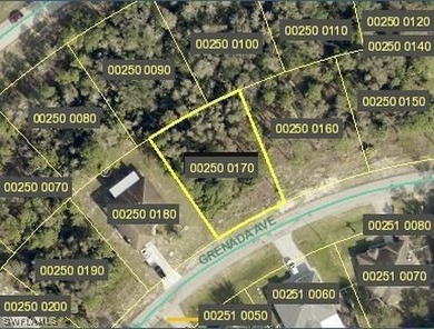 Lehigh Acres Area Lot For Sale in Lehigh Acres Florida