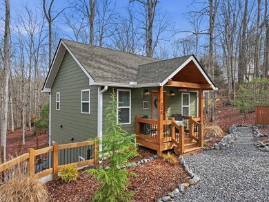 Coosawattee River Home For Sale in Ellijay Georgia