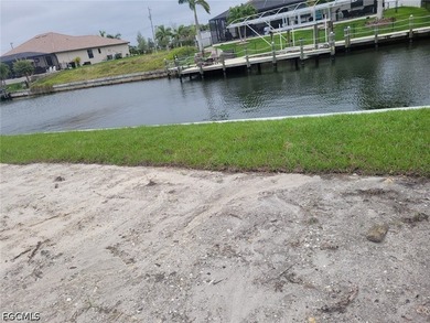 NEW 10' SEAWALL JUST INSTALLED!! Beautiful cleared Gulf Access - photo 9