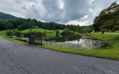 Lake Chatuge Acreage For Sale in Hayesville North Carolina
