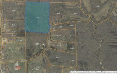 Lake Lot For Sale in Buchanan, Tennessee