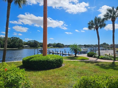 (private lake, pond, creek) Condo For Sale in Tampa Florida